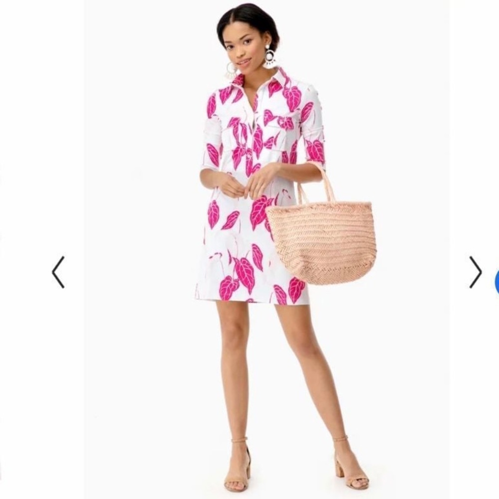 Persifor winpenny dress L